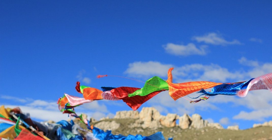 Pět tibeťanů (video)