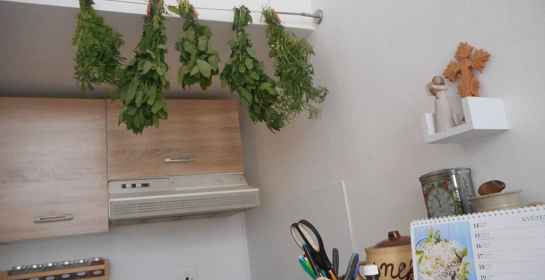 Už na jaře se vyplatí myslet na zimu