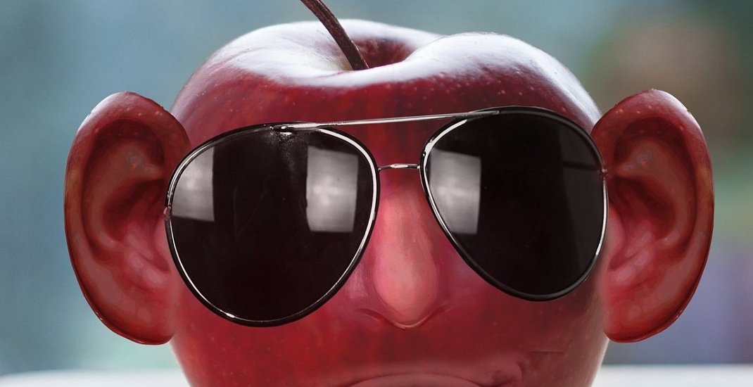 Letní oběd nebo večeře