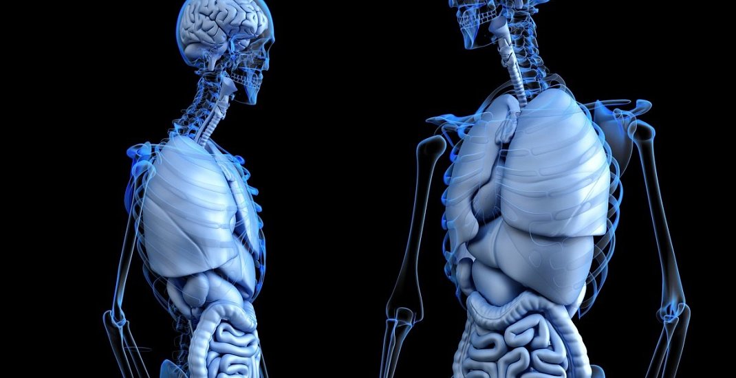 Návod k použití lidského těla