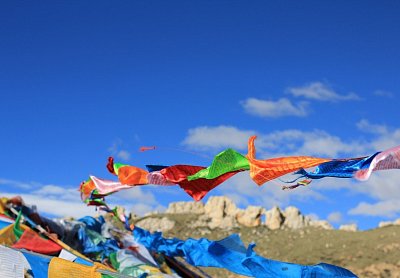 Pět tibeťanů (video)