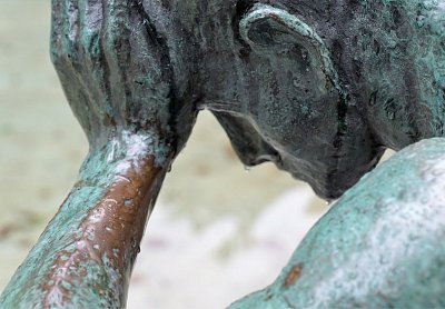 Zdravý člověk má mnoho přání, nemocný jen jedno