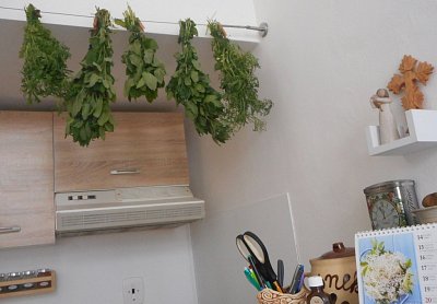 Už na jaře se vyplatí myslet na zimu