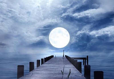 Pozdrav měsíci (video)